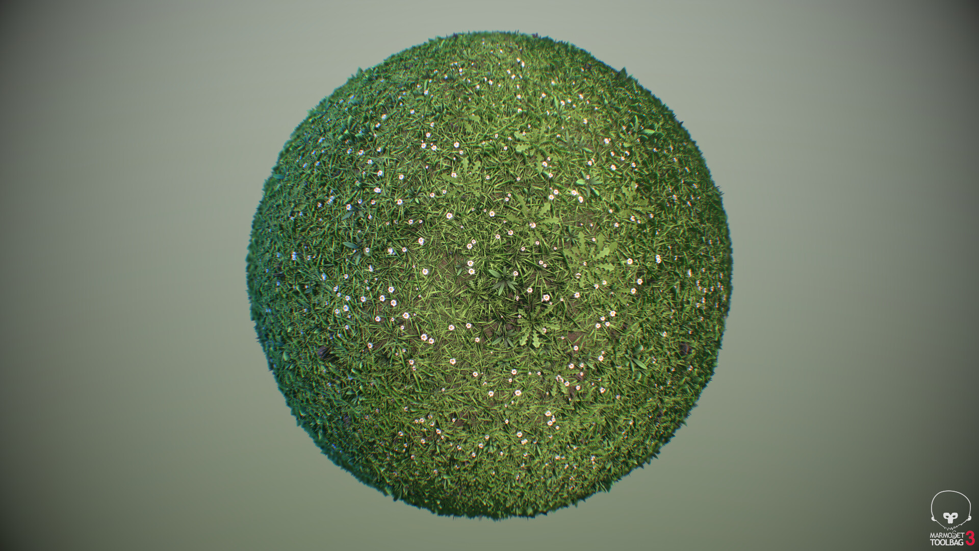 ArtStation - Substance Designer Grass Material