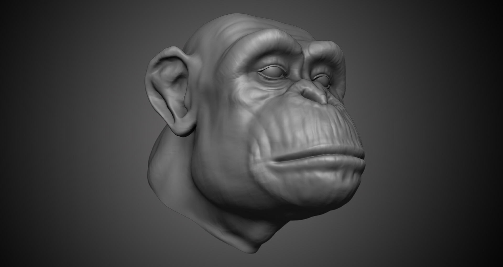 ArtStation - Chimpanzee Bust