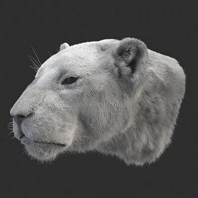 Gabriel salas lion avatar