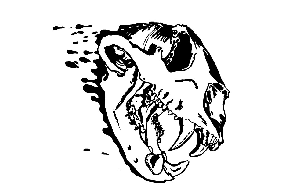 ArtStation - Bear Skull Sludge Loop