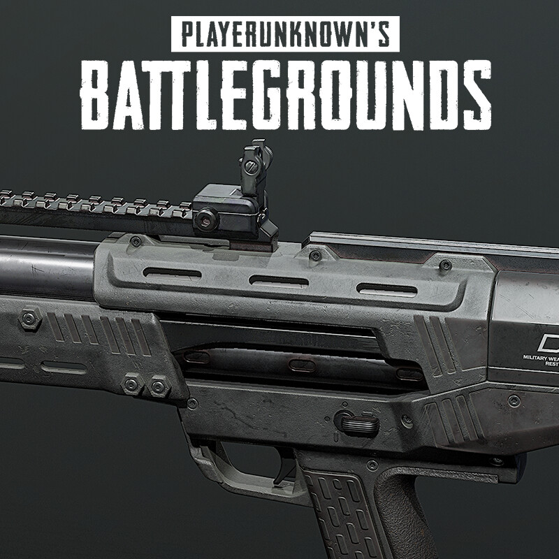 Playerunknown's Battlegrounds: DBS