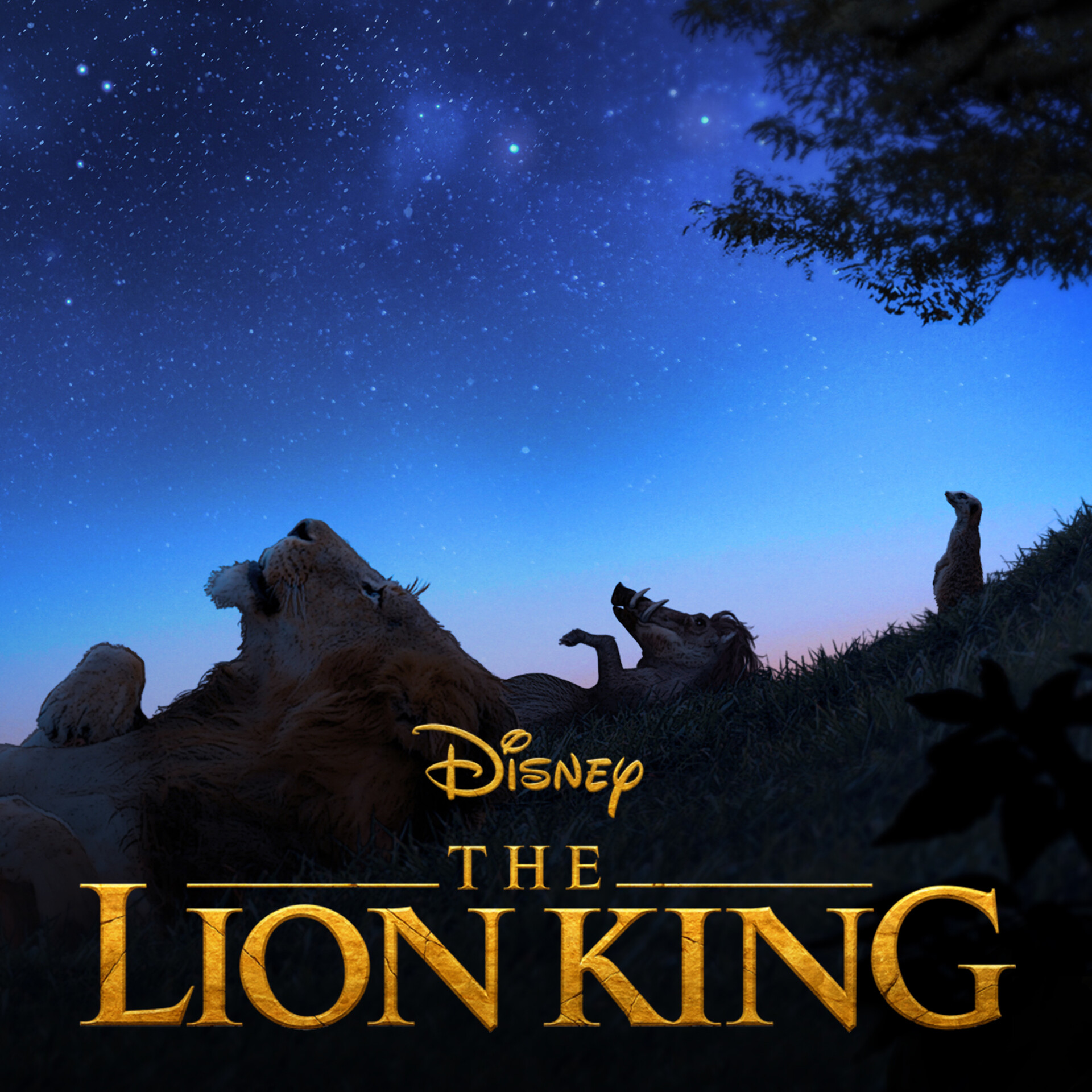 ArtStation - The Lion King - 2019 (Disney)