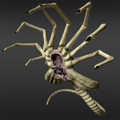 ArtStation - Face Hugger