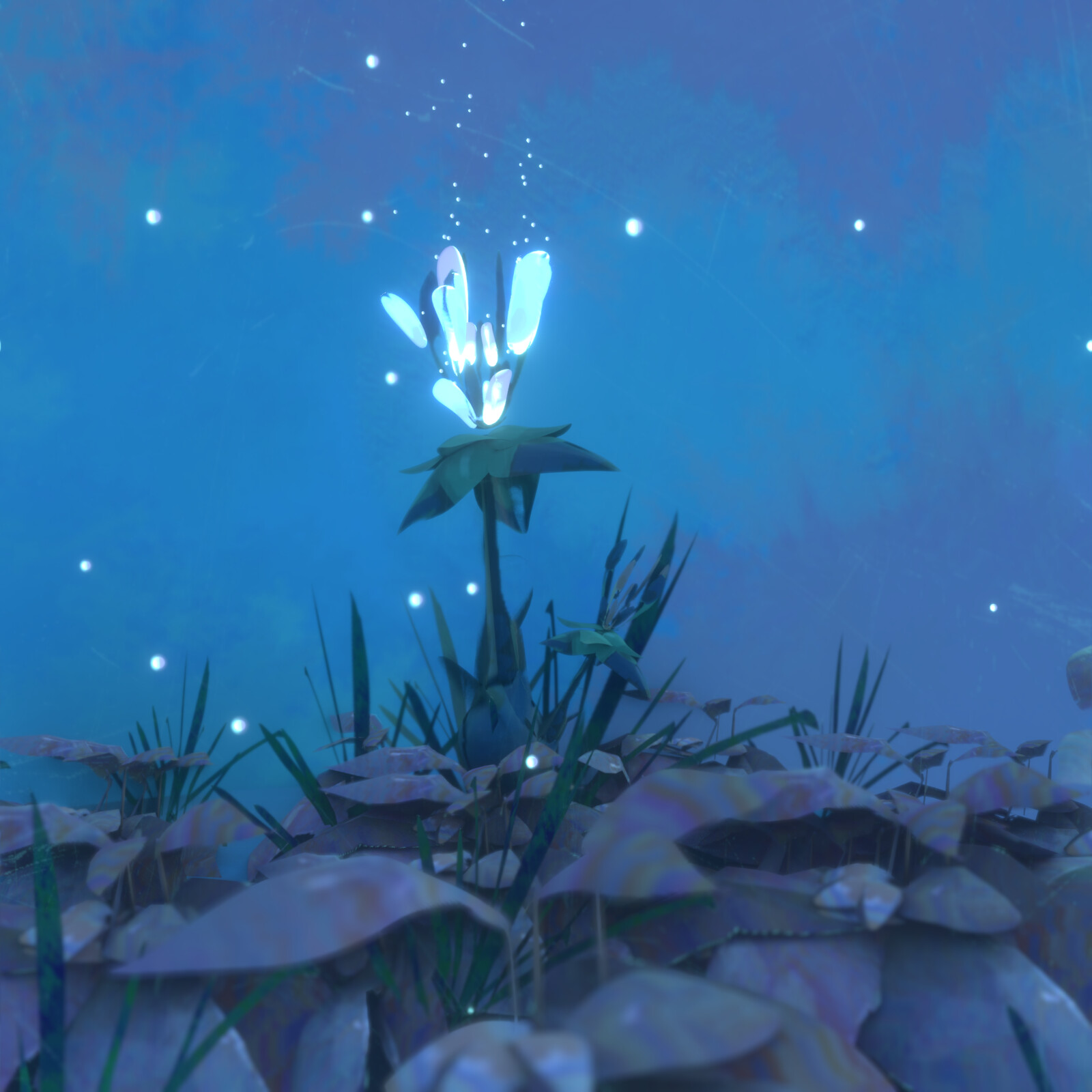 Flower (animation)