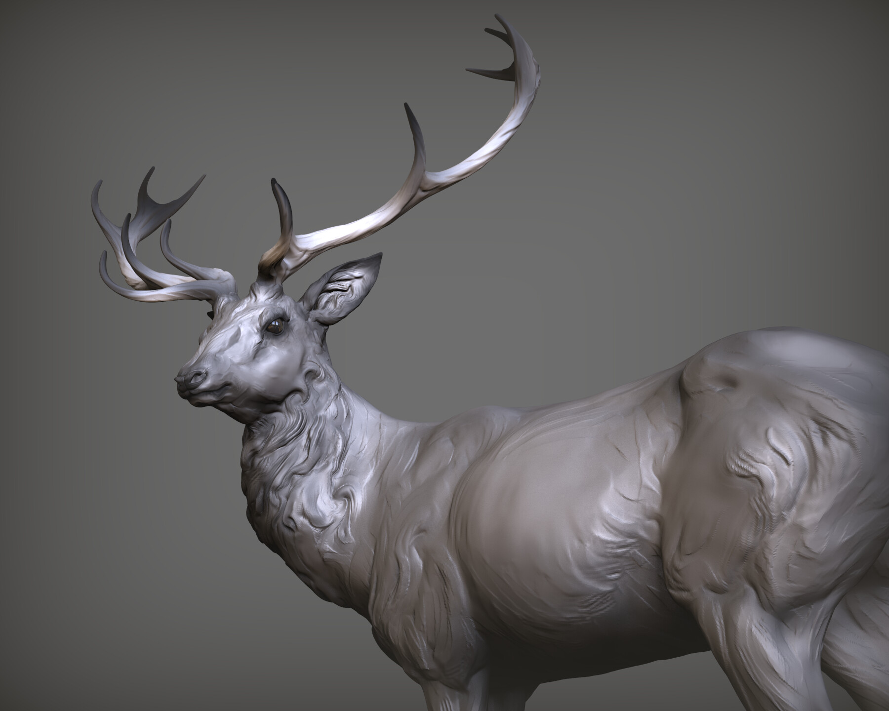 ArtStation - cerf