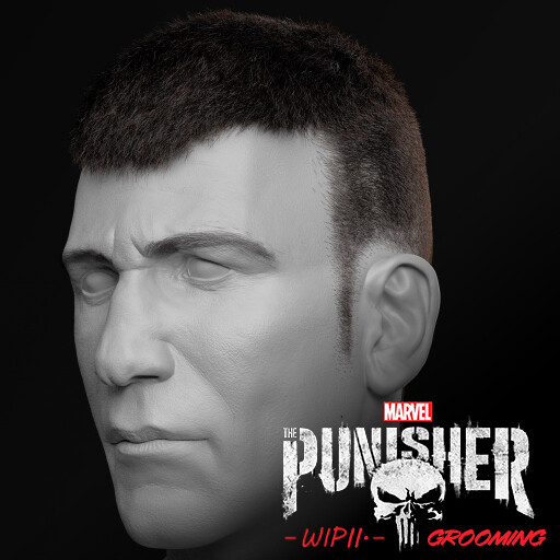 The Punisher WIP II. GROOMING -FanArt-