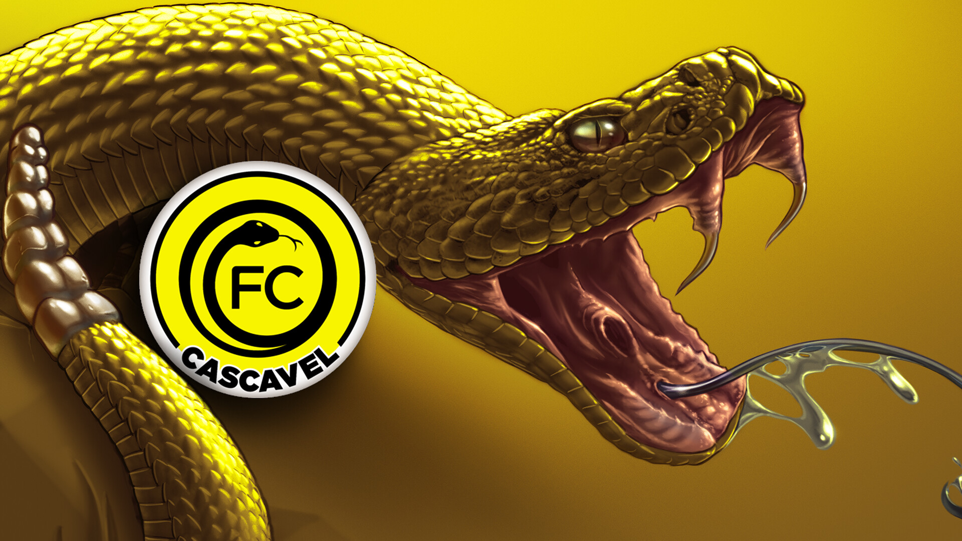 FC Cascavel - AMEXCOM