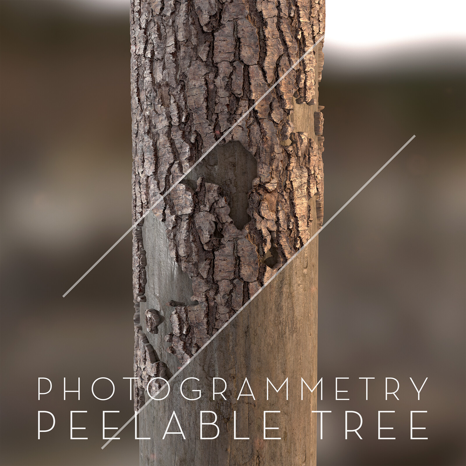 Material - Photogrammetry peelable Tree