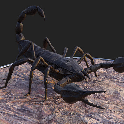 Jesse henning alligator scorpion black left