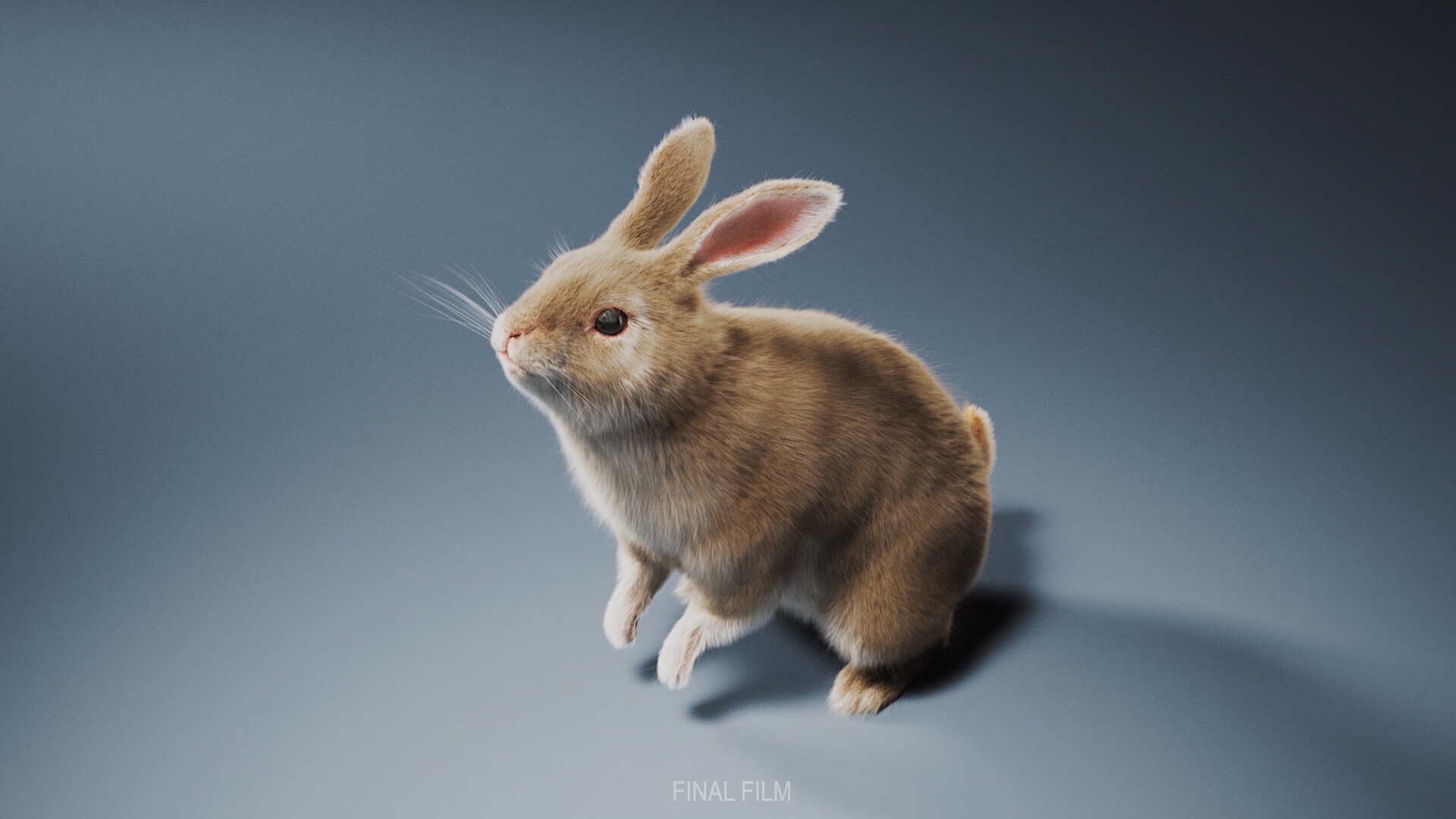 ArtStation - 룩뎁&3D Lighting 포트폴리오 Rabbit_CG5 아카데미_3D마야학원, 지브러쉬학원_3D마야모델링