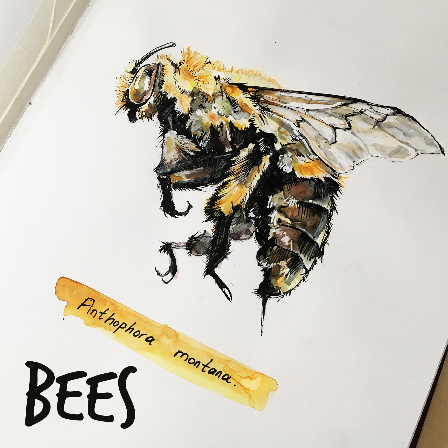 Artstation Bees