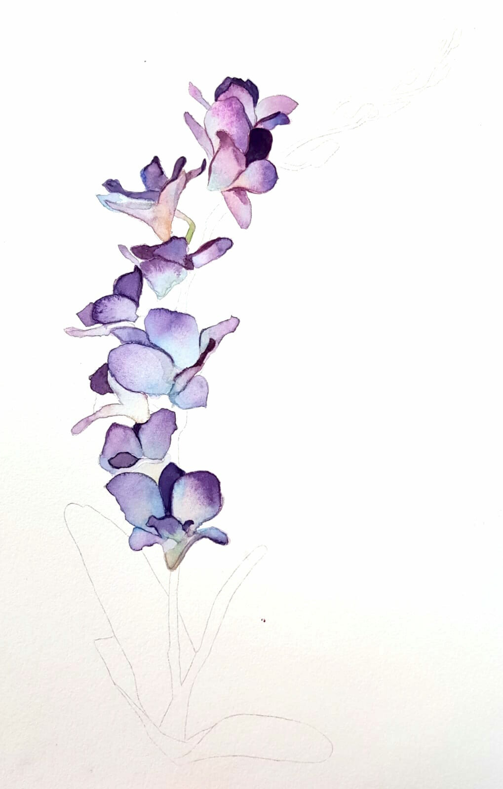 Artstation - Watercolour Orchids