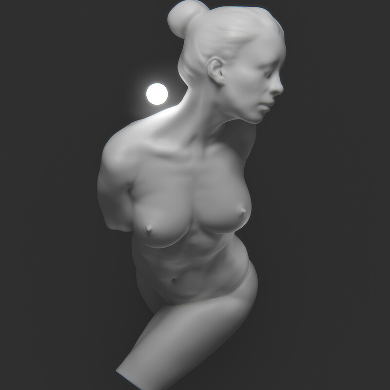 Anatomy Study - Female Torso