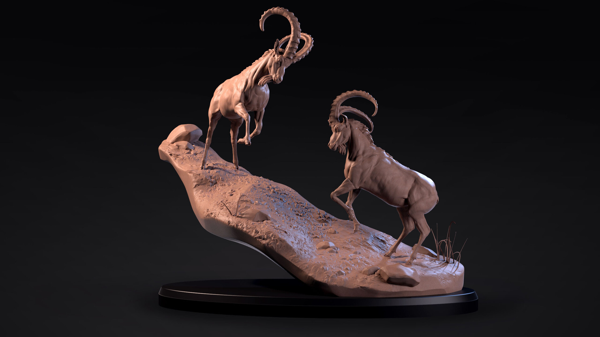 ArtStation Ibex Sculpt and Anatomy Study