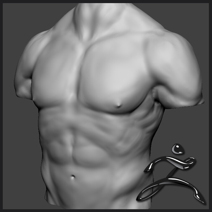 ArtStation - Roblox Torso Muscle Sculpt