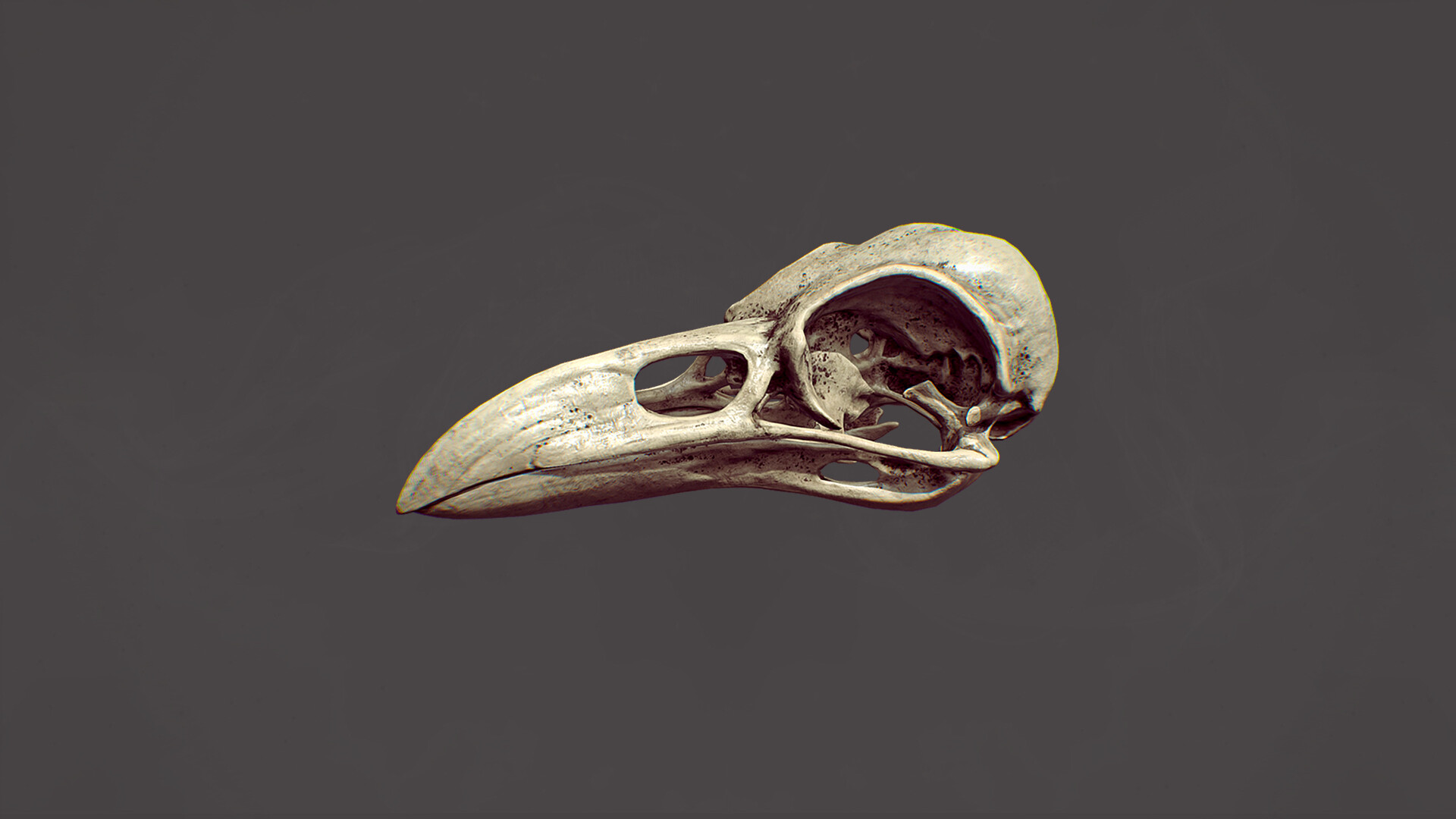 ArtStation Raven Skull