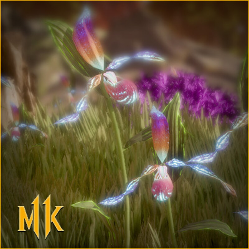 Orchid Forest Floor
