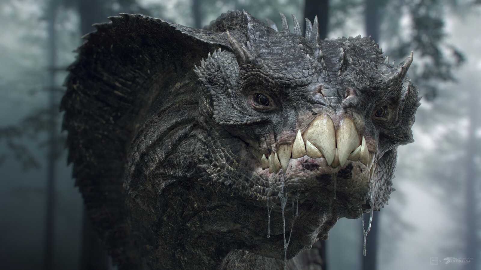 Viper Dragon Turntable By Myself And Simon Gomez