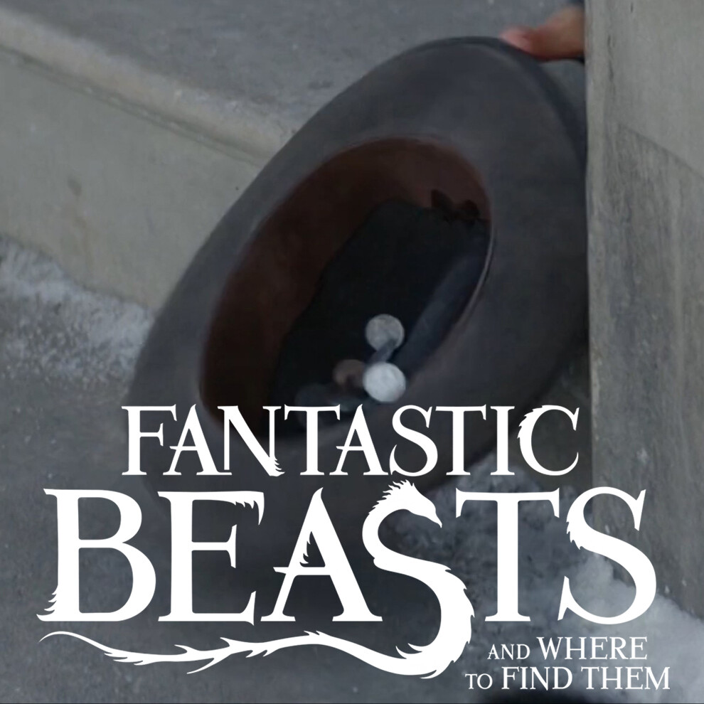 Fantastic Beast And Where To Find Them