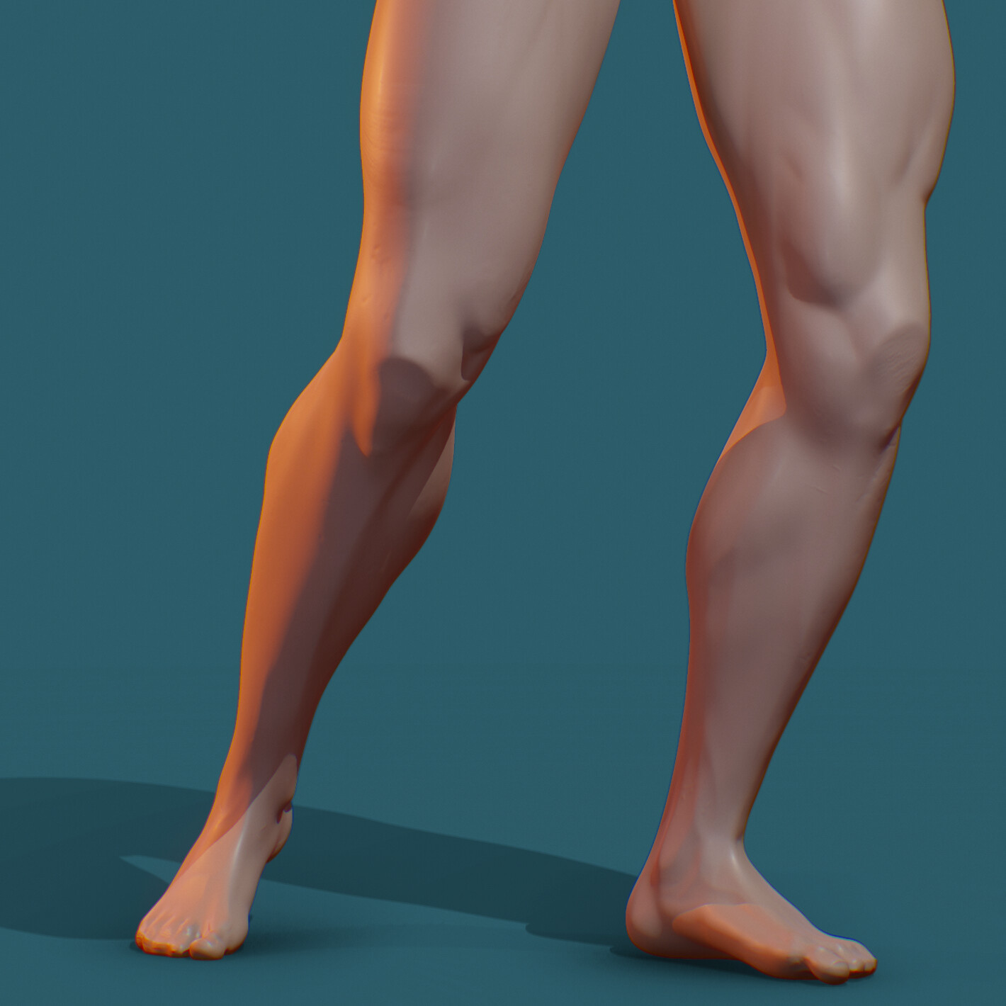 Boxer Legs Study