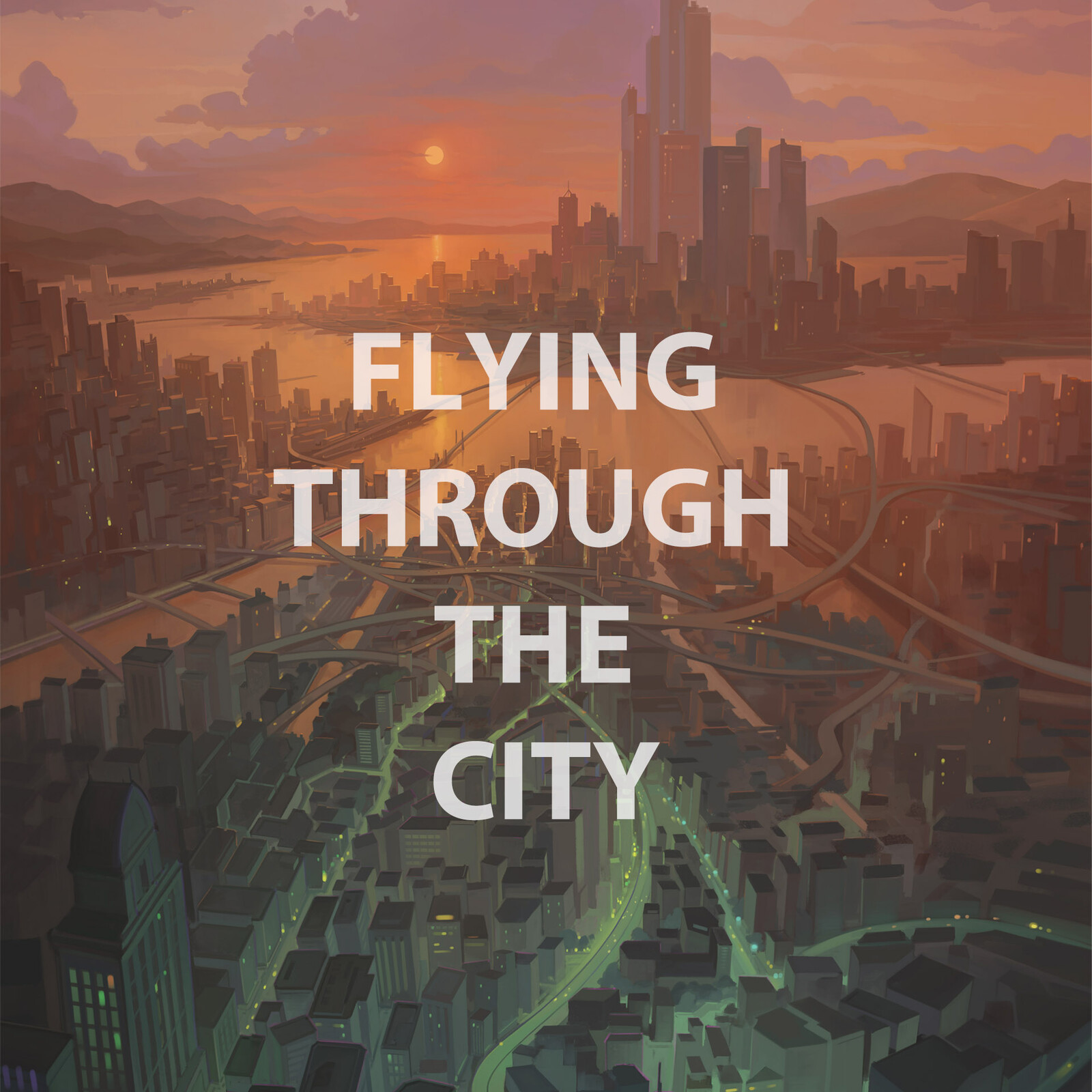 Flying Through the City
