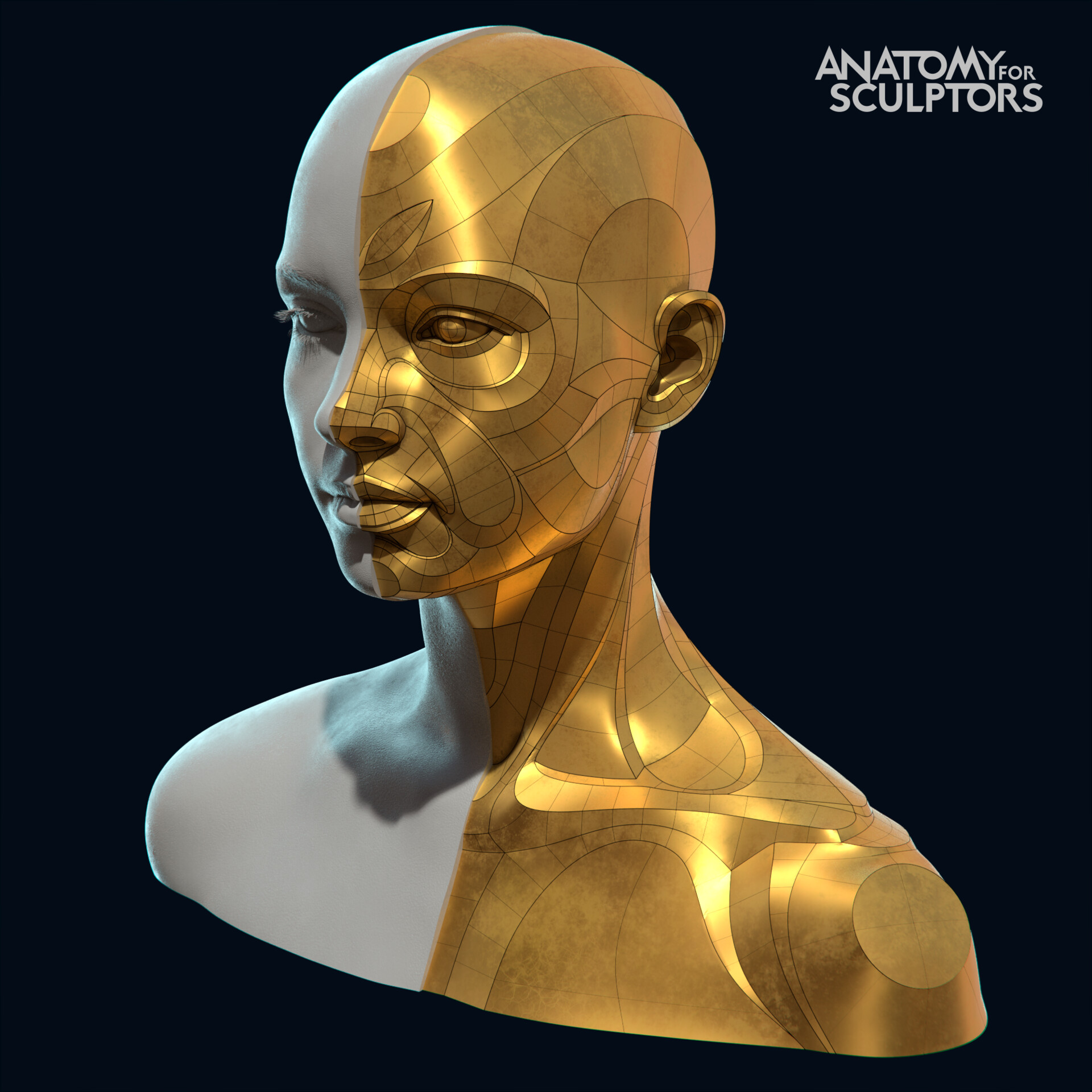 Anatomy For Sculptors Transitions from sculpt to blockout