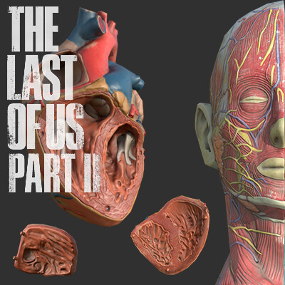 The Last of Us 2 (TLOU2) Tool for Models with Skeletons & Textures