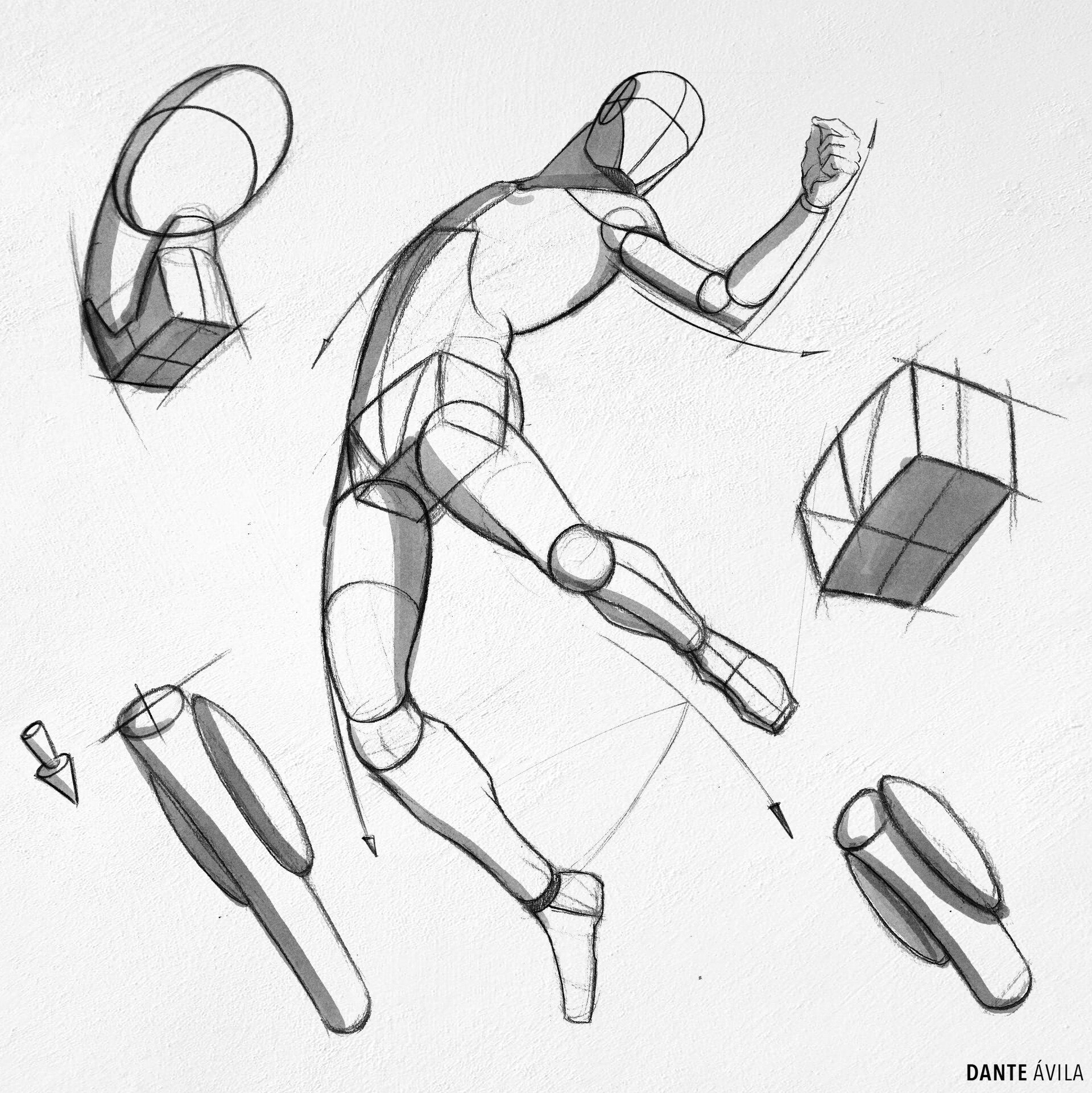 ArtStation - Anatomy Sketches