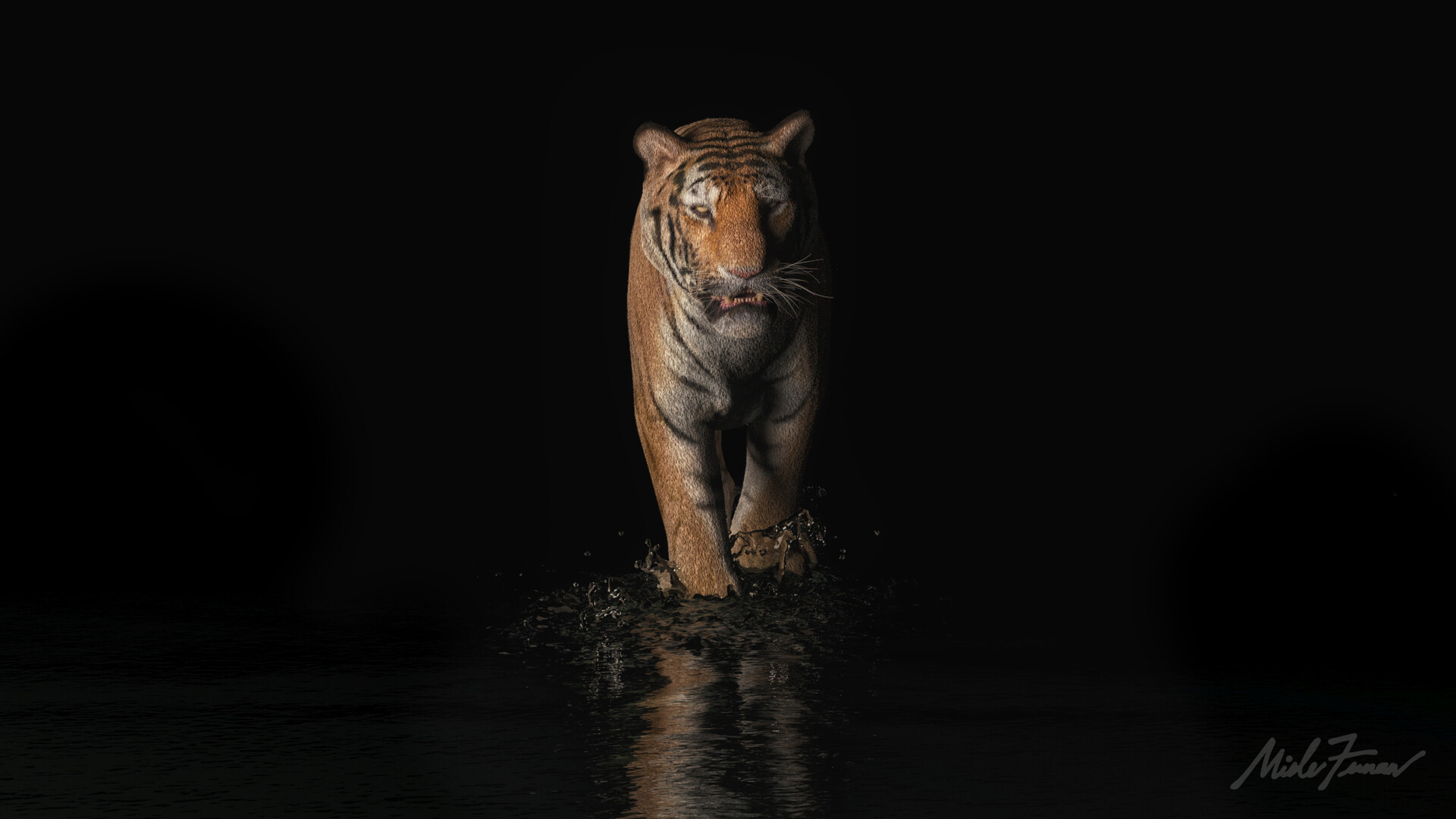 ArtStation - Animal rigging and water simulation for cinematics