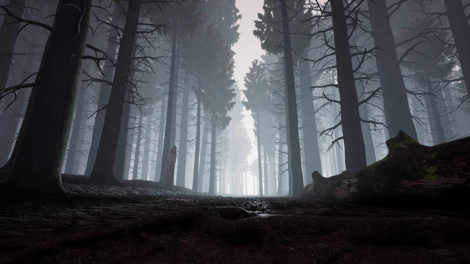 ArtStation - Dark Forest Scene