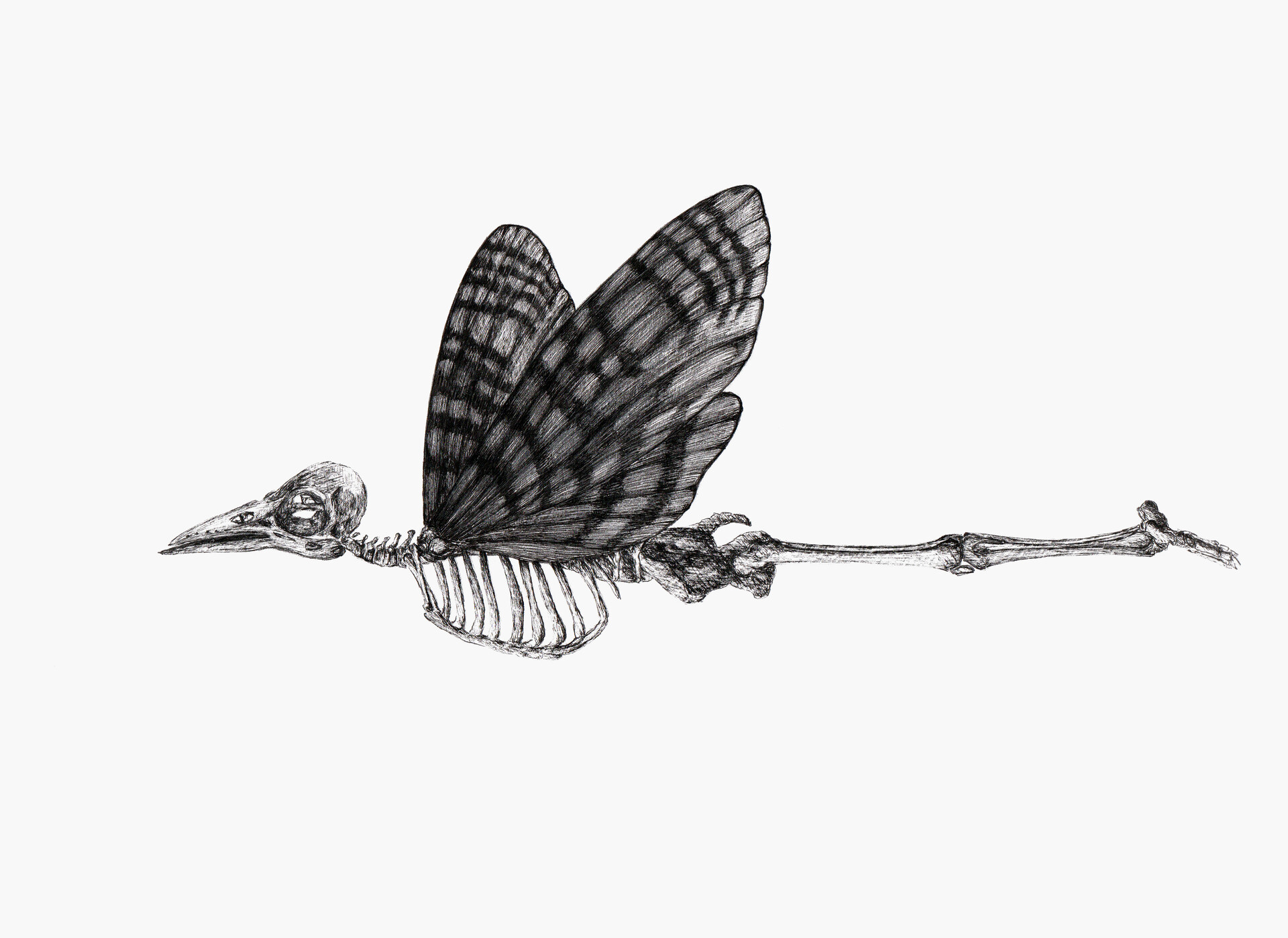 ArtStation - Flying dead anthropomorphic creature