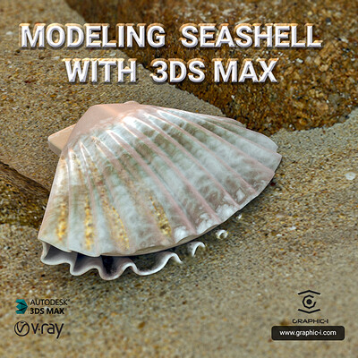 Modeling scallop seashell in 3dsMax  tutorial