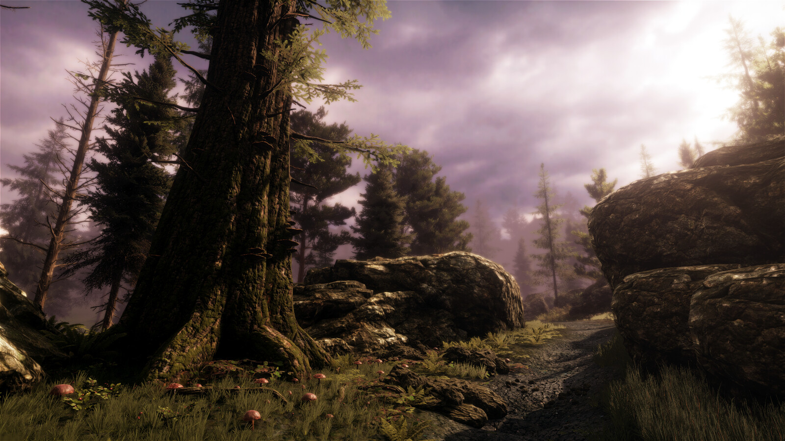 Pacific Northwest Forest - Unannounced Title 