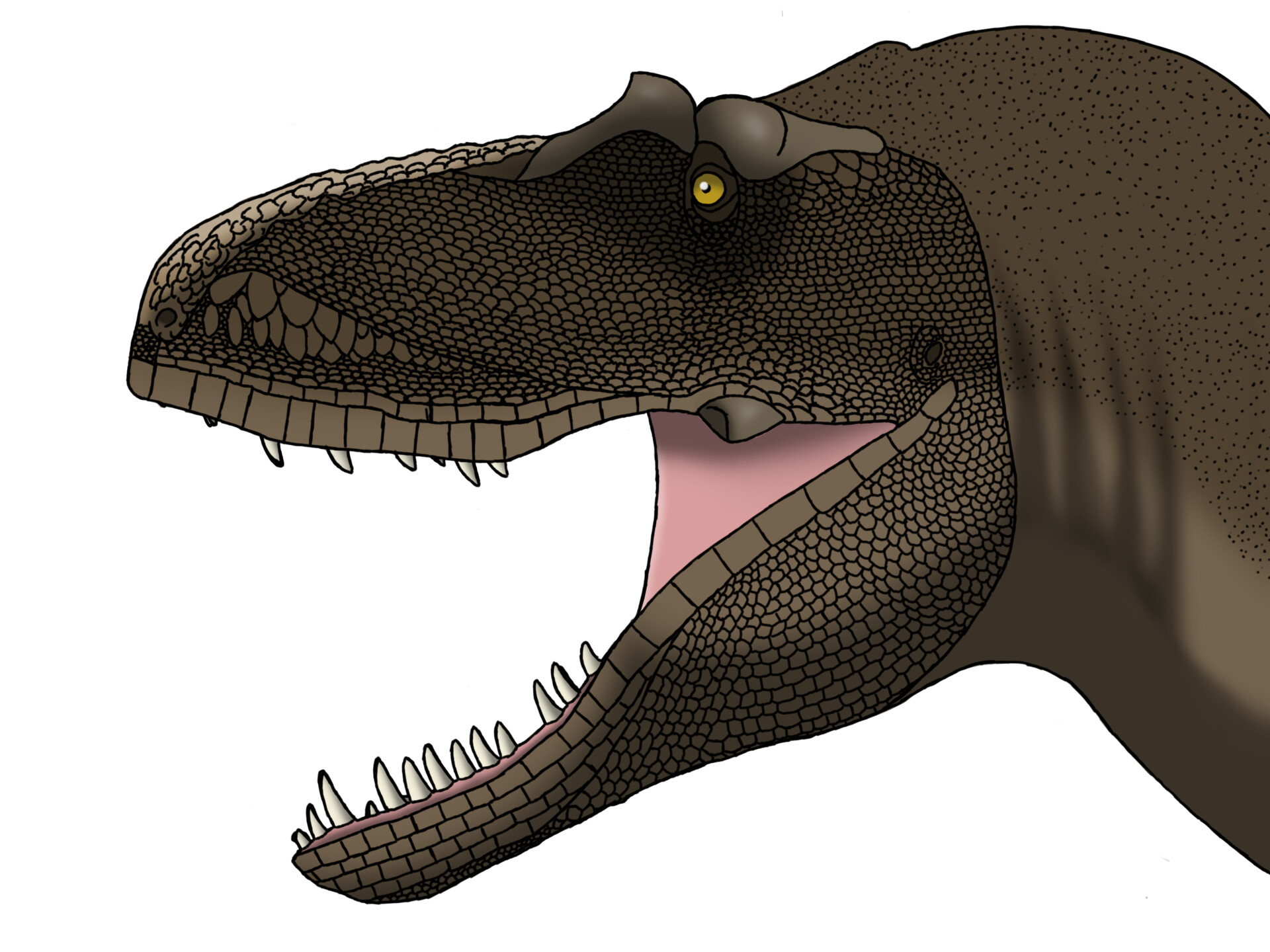 Artstation Daspletosaurus Horneri 4226