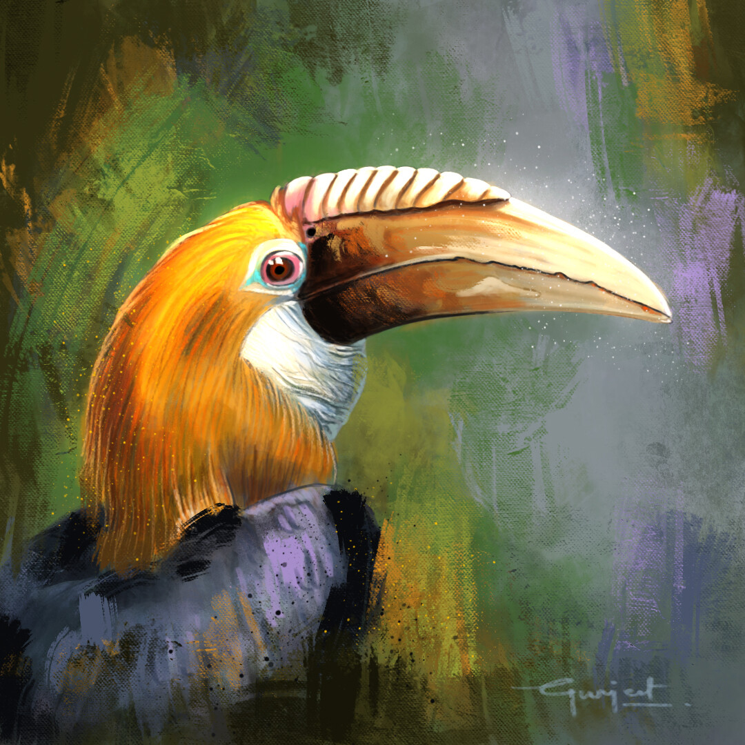 ArtStation - Hornbill
