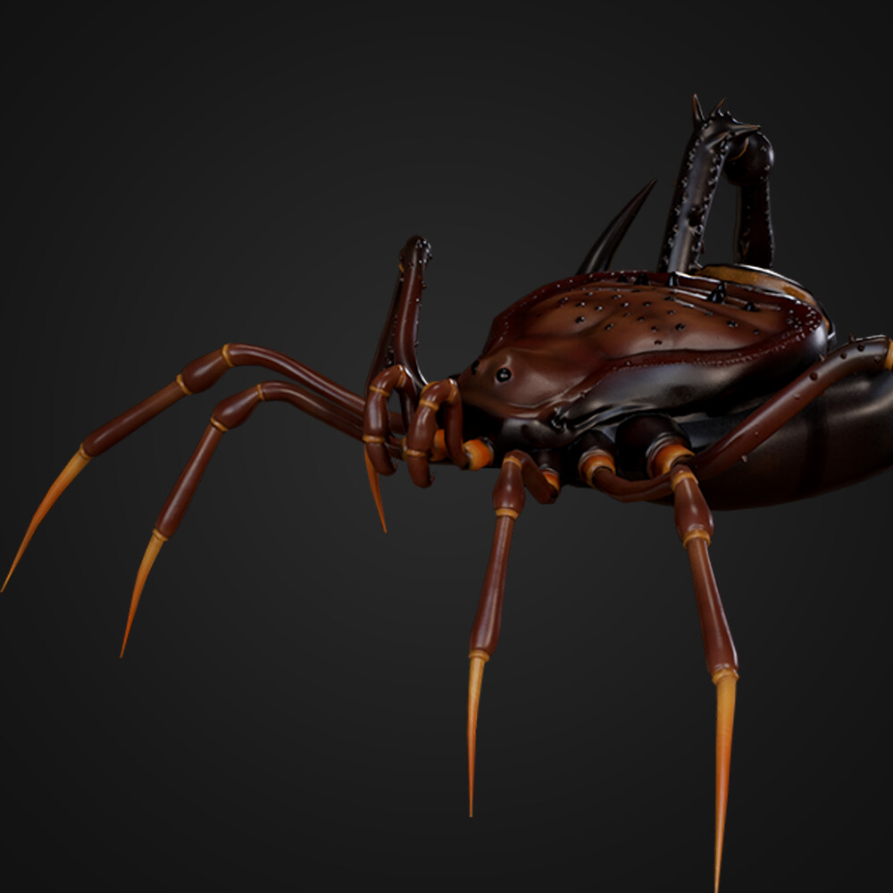 Pachyloidellus Goliath