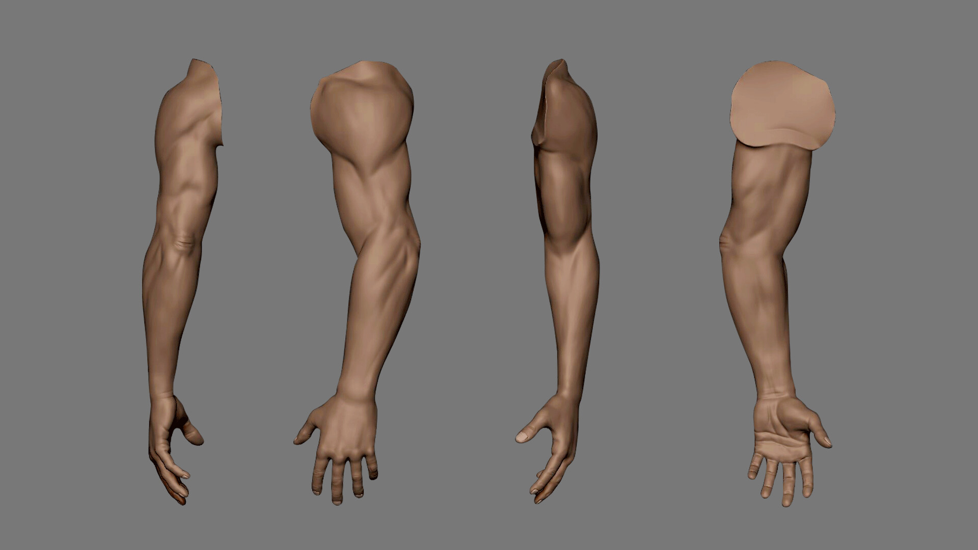 ArtStation - Arm Study Anatomy WIP