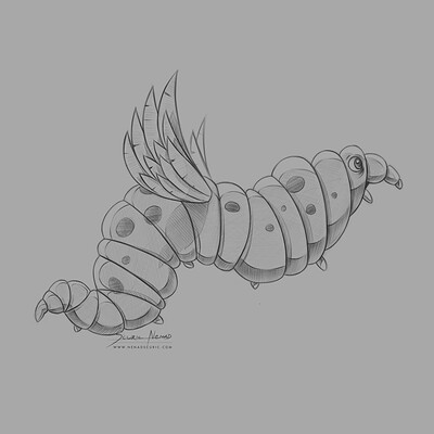 Butterfly worm, sketch done with Photoshop