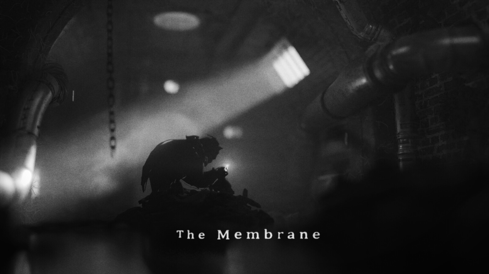 The Membrane [5th Anniversary - CG Tribute]