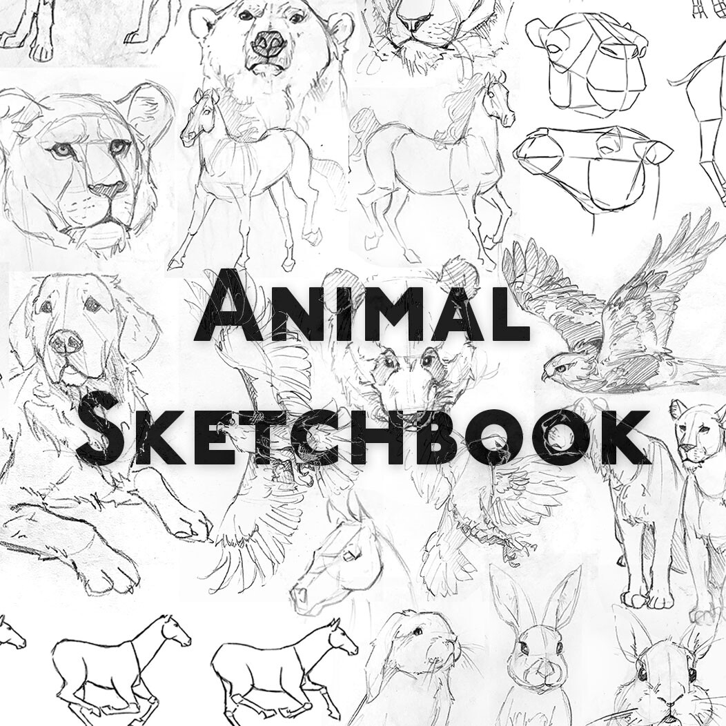 ArtStation - Animal Locomotion Sketchbook