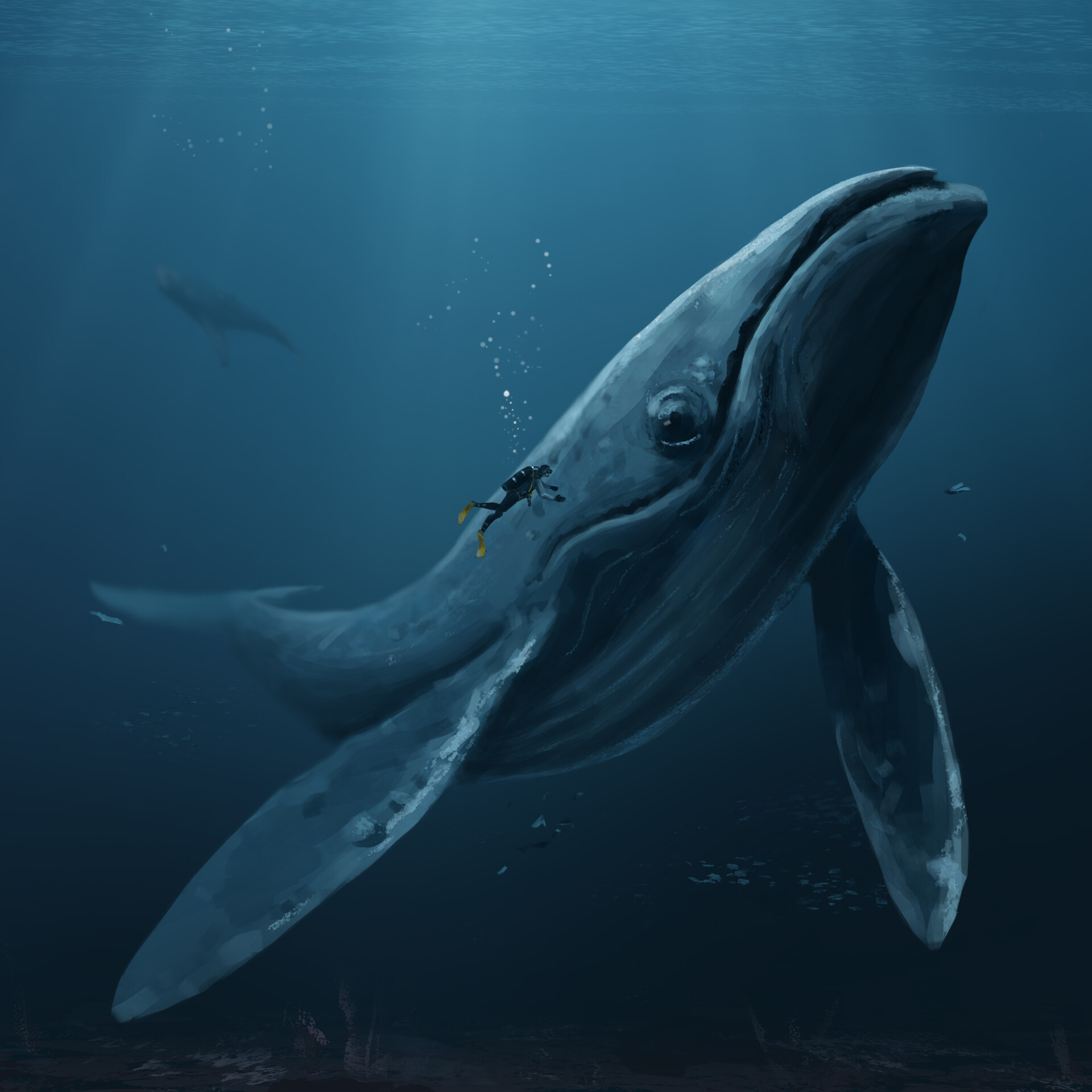 ArtStation - Whale