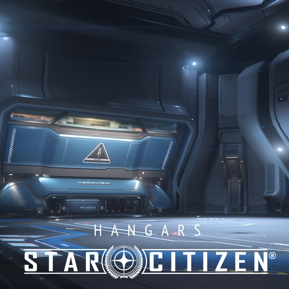 ArtStation Star Citizen Aeroview Hangars