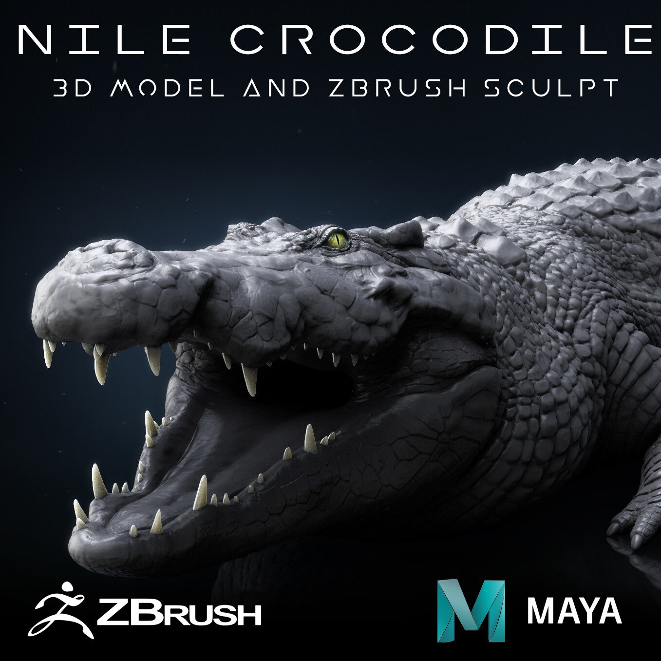 Nile Crocodile 3D Model (Available on Marketplace)
