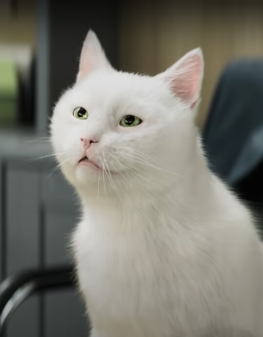 ArtStation ramses feu vert ArtStation ramses feu vert