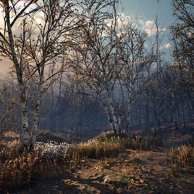 Autumn Forest [UE4]