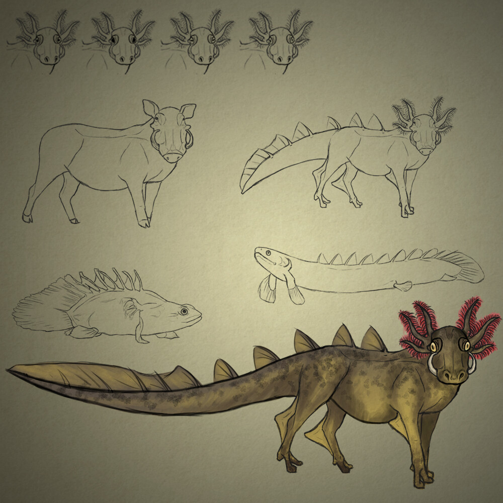 Bichir - Warthog