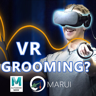 VR Grooming?