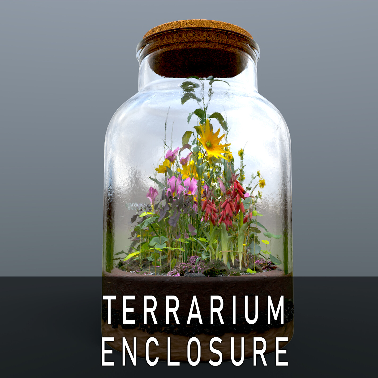 Terrarium Enclosure