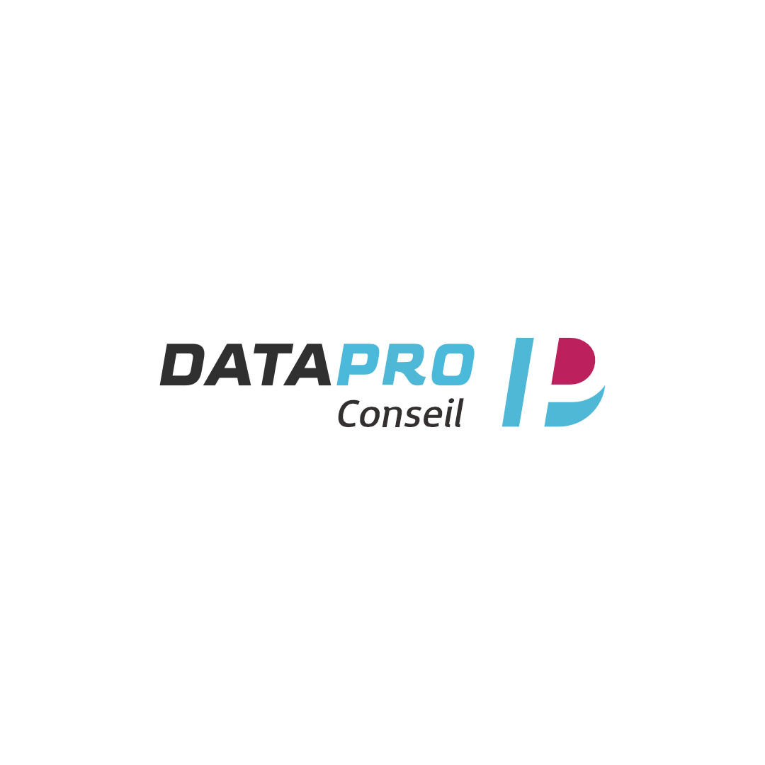 ArtStation - Logotype - Datapro Conseil