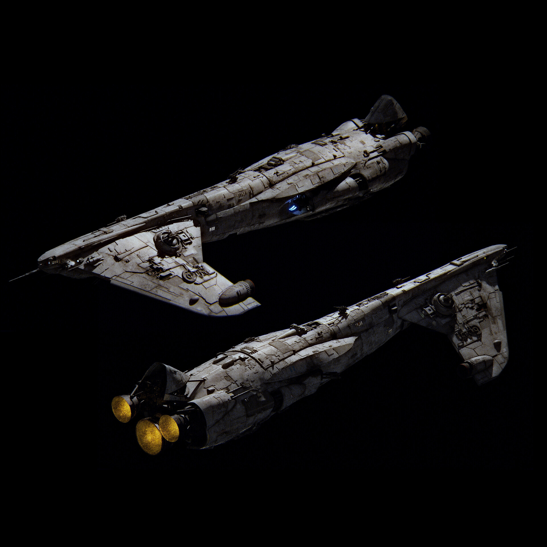 SHIPS NINE CASE］エンブロイダリース ウェット